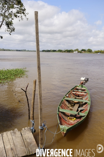 L  AMAZONIE brésilienne de l  Etat du PARA entre Curua-Una et Alter do Chao.