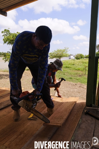 L  AMAZONIE brésilienne de l  Etat du PARA entre Curua-Una et Alter do Chao.