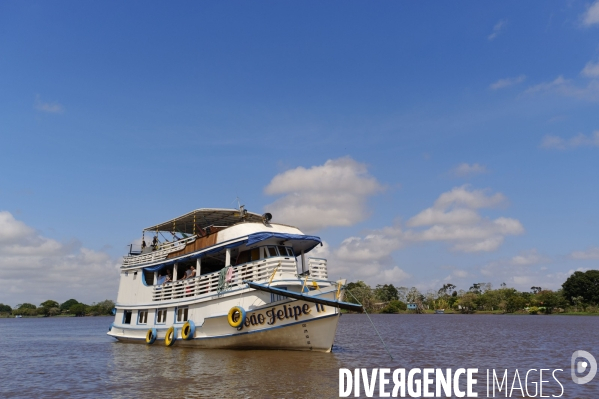 L  AMAZONIE brésilienne de l  Etat du PARA entre Curua-Una et Alter do Chao.