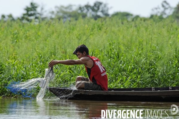 L  AMAZONIE brésilienne de l  Etat du PARA entre Curua-Una et Alter do Chao.