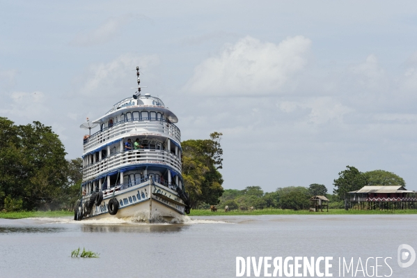 L  AMAZONIE brésilienne de l  Etat du PARA entre Curua-Una et Alter do Chao.