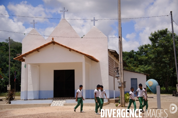 L  AMAZONIE brésilienne de l  Etat du PARA entre Curua-Una et Alter do Chao.