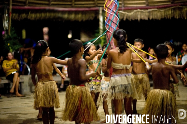 L  AMAZONIE brésilienne de l  Etat du PARA entre Curua-Una et Alter do Chao.