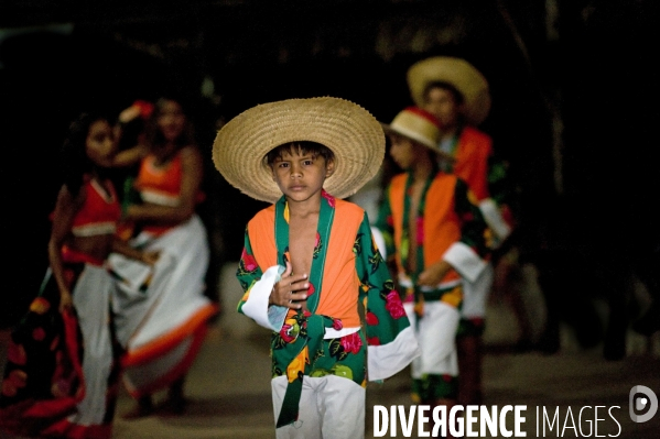 L  AMAZONIE brésilienne de l  Etat du PARA entre Curua-Una et Alter do Chao.