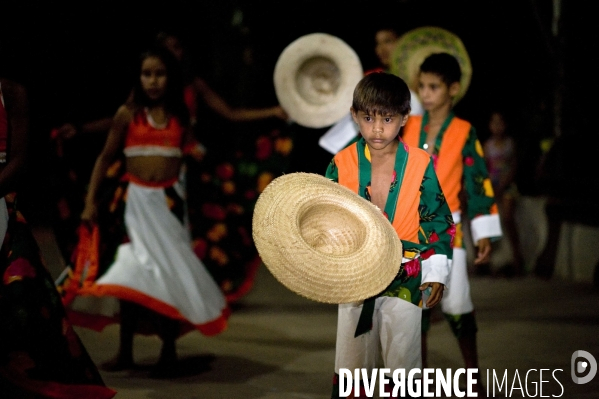 L  AMAZONIE brésilienne de l  Etat du PARA entre Curua-Una et Alter do Chao.