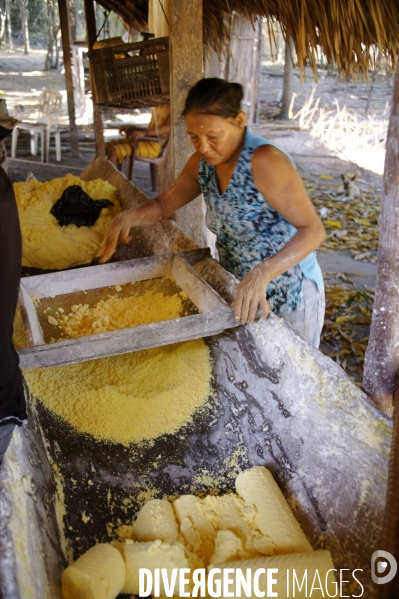 L  AMAZONIE brésilienne de l  Etat du PARA entre Curua-Una et Alter do Chao.