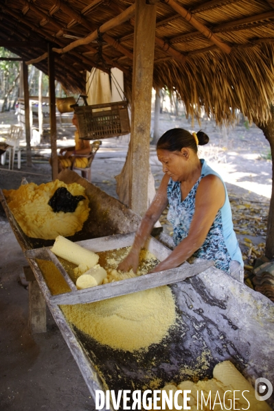 L  AMAZONIE brésilienne de l  Etat du PARA entre Curua-Una et Alter do Chao.