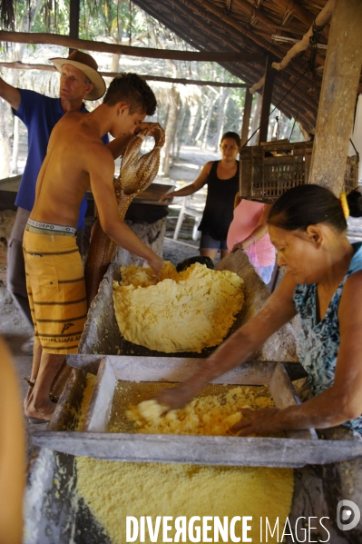 L  AMAZONIE brésilienne de l  Etat du PARA entre Curua-Una et Alter do Chao.