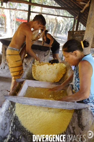 L  AMAZONIE brésilienne de l  Etat du PARA entre Curua-Una et Alter do Chao.