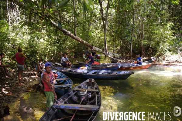 L  AMAZONIE brésilienne de l  Etat du PARA entre Curua-Una et Alter do Chao.