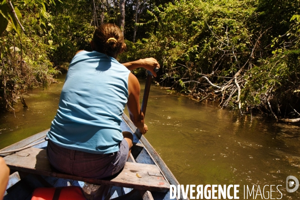 L  AMAZONIE brésilienne de l  Etat du PARA entre Curua-Una et Alter do Chao.