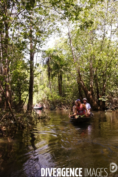 L  AMAZONIE brésilienne de l  Etat du PARA entre Curua-Una et Alter do Chao.