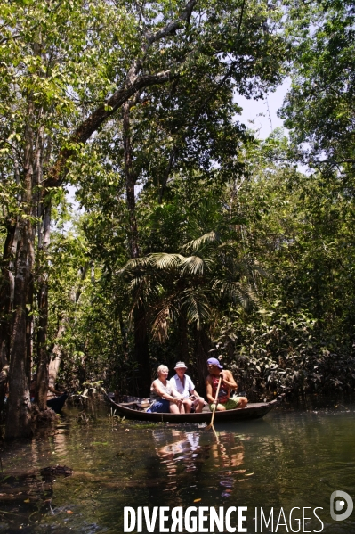 L  AMAZONIE brésilienne de l  Etat du PARA entre Curua-Una et Alter do Chao.