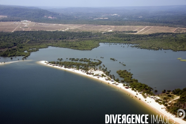 L  AMAZONIE brésilienne de l  Etat du PARA entre Curua-Una et Alter do Chao.