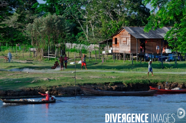 L  AMAZONIE brésilienne de l  Etat du PARA entre Curua-Una et Alter do Chao.