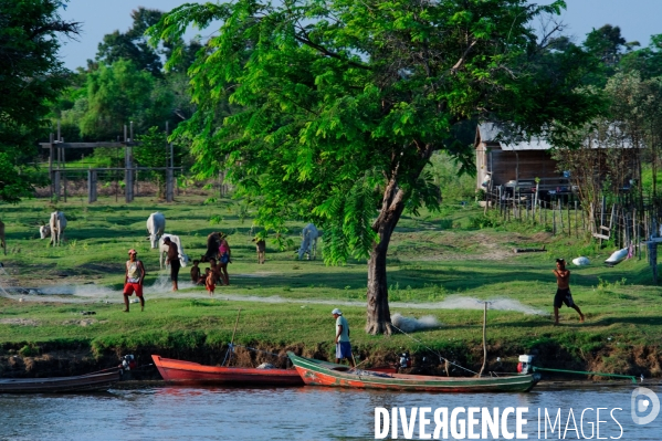 L  AMAZONIE brésilienne de l  Etat du PARA entre Curua-Una et Alter do Chao.