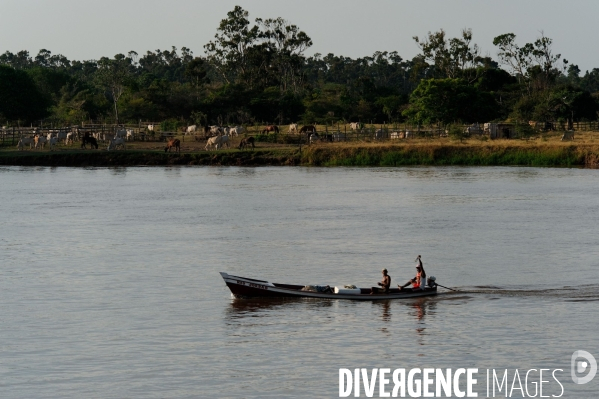 L  AMAZONIE brésilienne de l  Etat du PARA entre Curua-Una et Alter do Chao.