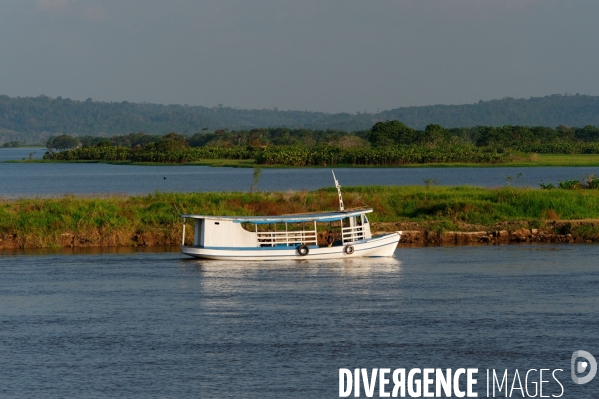 L  AMAZONIE brésilienne de l  Etat du PARA entre Curua-Una et Alter do Chao.