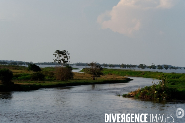 L  AMAZONIE brésilienne de l  Etat du PARA entre Curua-Una et Alter do Chao.