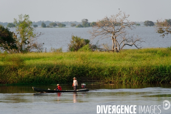 L  AMAZONIE brésilienne de l  Etat du PARA entre Curua-Una et Alter do Chao.