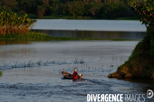 L  AMAZONIE brésilienne de l  Etat du PARA entre Curua-Una et Alter do Chao.