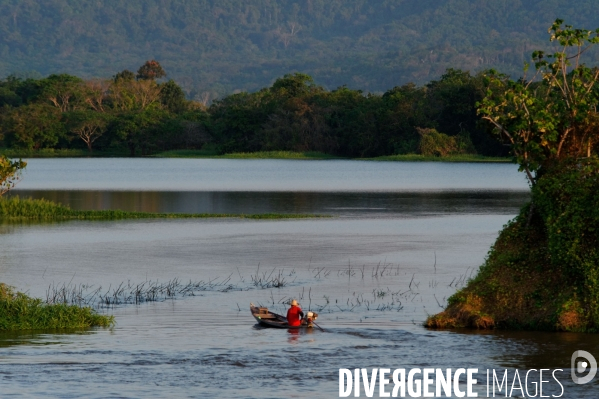 L  AMAZONIE brésilienne de l  Etat du PARA entre Curua-Una et Alter do Chao.