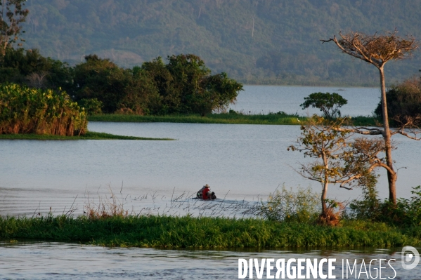 L  AMAZONIE brésilienne de l  Etat du PARA entre Curua-Una et Alter do Chao.