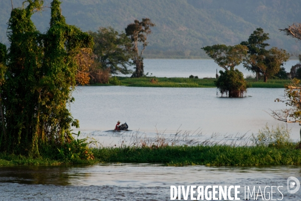 L  AMAZONIE brésilienne de l  Etat du PARA entre Curua-Una et Alter do Chao.