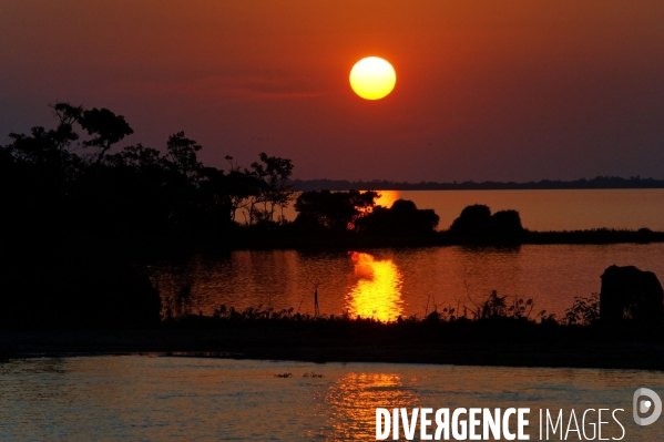 L  AMAZONIE brésilienne de l  Etat du PARA entre Curua-Una et Alter do Chao.