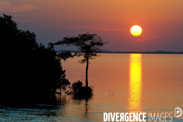 L  AMAZONIE brésilienne de l  Etat du PARA entre Curua-Una et Alter do Chao.