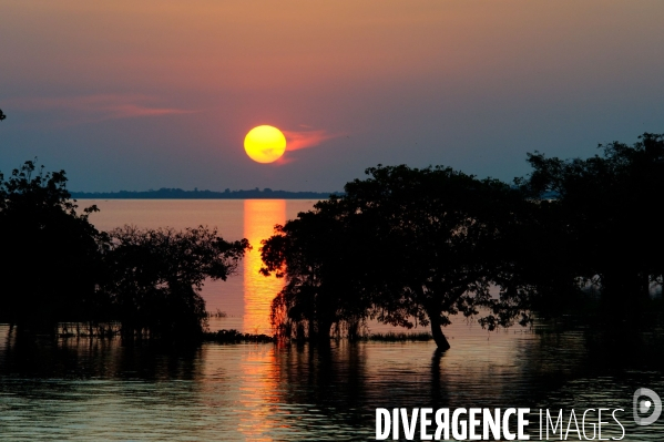 L  AMAZONIE brésilienne de l  Etat du PARA entre Curua-Una et Alter do Chao.