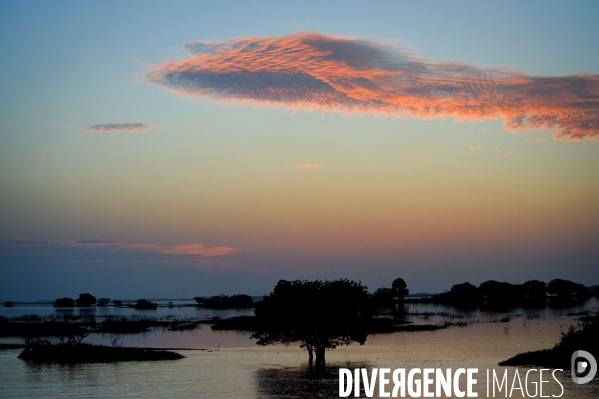 L  AMAZONIE brésilienne de l  Etat du PARA entre Curua-Una et Alter do Chao.