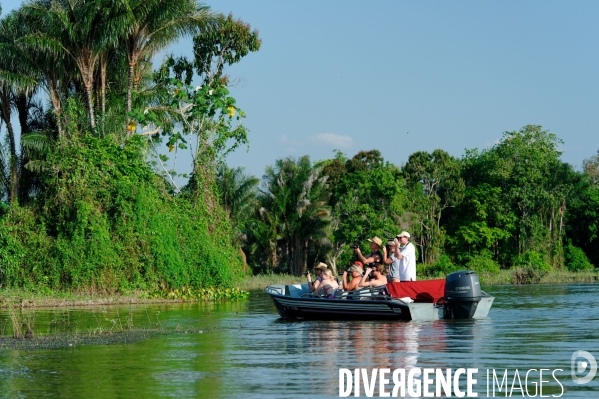 L  AMAZONIE brésilienne de l  Etat du PARA entre Curua-Una et Alter do Chao.