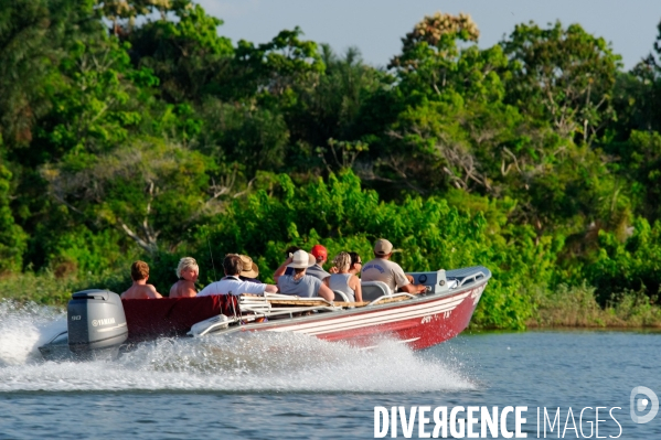 L  AMAZONIE brésilienne de l  Etat du PARA entre Curua-Una et Alter do Chao.