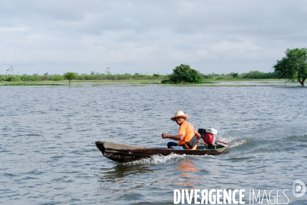 L  AMAZONIE brésilienne de l  Etat du PARA entre Curua-Una et Alter do Chao.