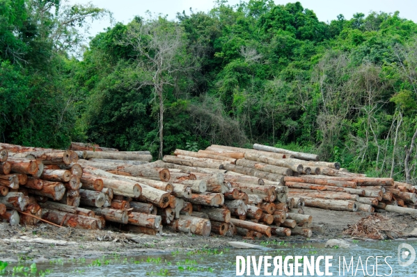 L  AMAZONIE brésilienne de l  Etat du PARA entre Curua-Una et Alter do Chao.