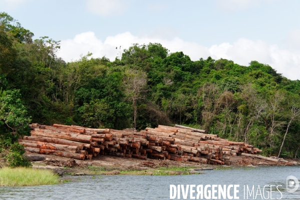 L  AMAZONIE brésilienne de l  Etat du PARA entre Curua-Una et Alter do Chao.