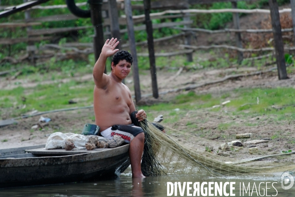 L  AMAZONIE brésilienne de l  Etat du PARA entre Curua-Una et Alter do Chao.