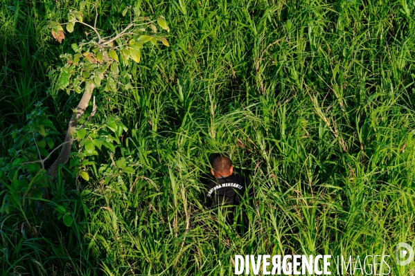 L  AMAZONIE brésilienne de l  Etat du PARA entre Curua-Una et Alter do Chao.