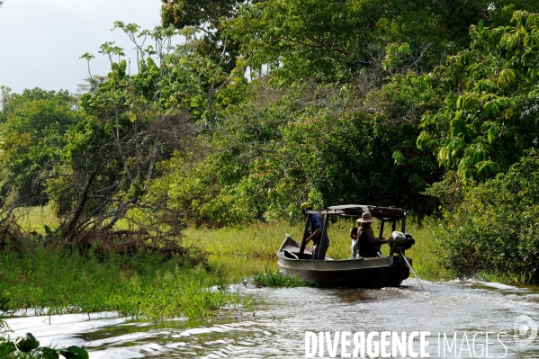 L  AMAZONIE brésilienne de l  Etat du PARA entre Curua-Una et Alter do Chao.