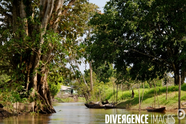 L  AMAZONIE brésilienne de l  Etat du PARA entre Curua-Una et Alter do Chao.