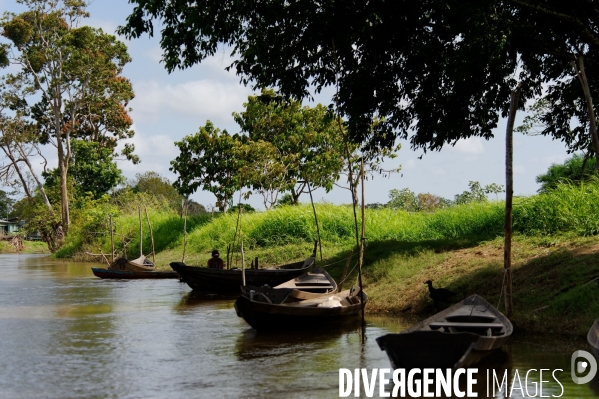 L  AMAZONIE brésilienne de l  Etat du PARA entre Curua-Una et Alter do Chao.