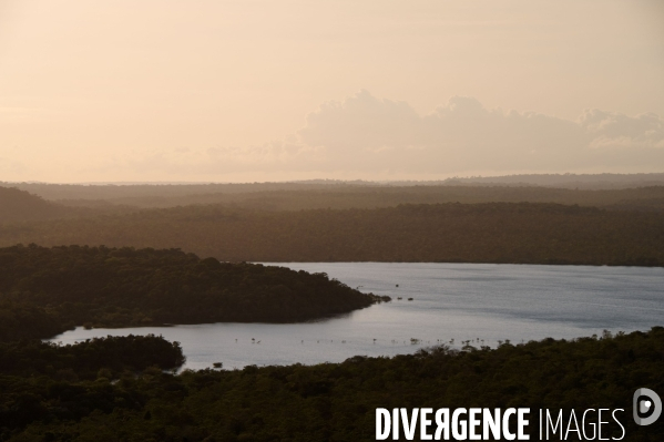 L  AMAZONIE brésilienne de l  Etat du PARA entre Curua-Una et Alter do Chao.