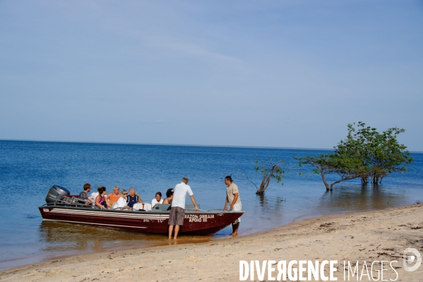 L  AMAZONIE brésilienne de l  Etat du PARA entre Curua-Una et Alter do Chao.