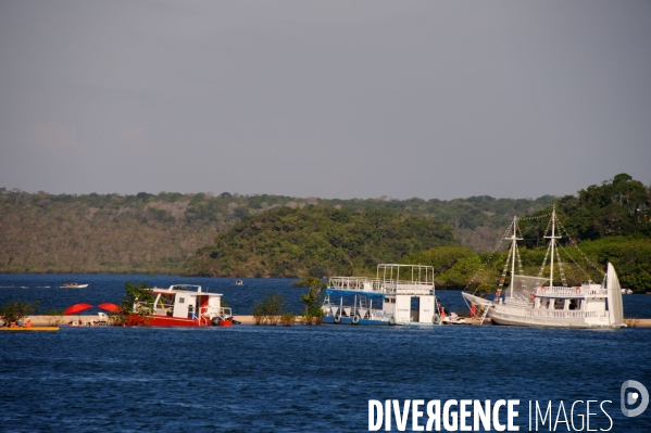 L  AMAZONIE brésilienne de l  Etat du PARA entre Curua-Una et Alter do Chao.