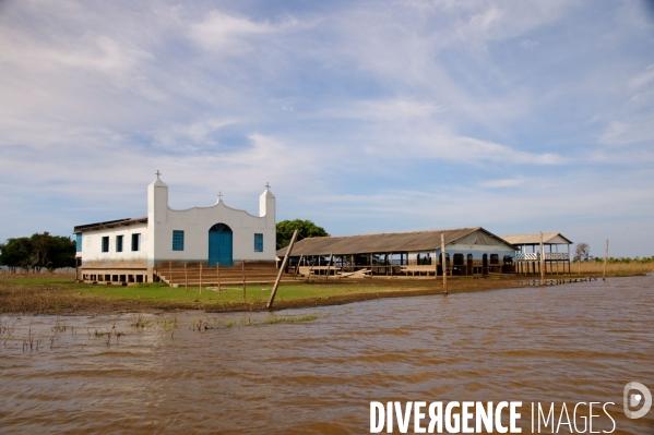 L  AMAZONIE brésilienne de l  Etat du PARA entre Curua-Una et Alter do Chao.