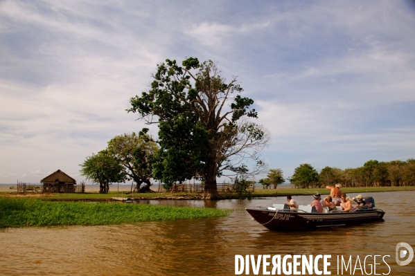 L  AMAZONIE brésilienne de l  Etat du PARA entre Curua-Una et Alter do Chao.