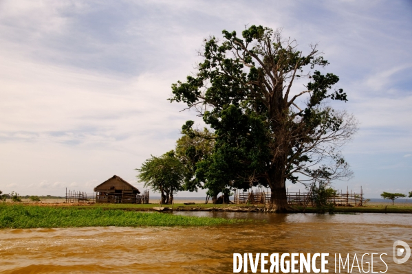 L  AMAZONIE brésilienne de l  Etat du PARA entre Curua-Una et Alter do Chao.