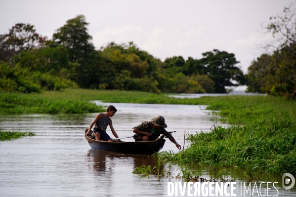 L  AMAZONIE brésilienne de l  Etat du PARA entre Curua-Una et Alter do Chao.