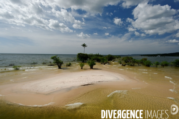 L  AMAZONIE brésilienne de l  Etat du PARA entre Curua-Una et Alter do Chao.